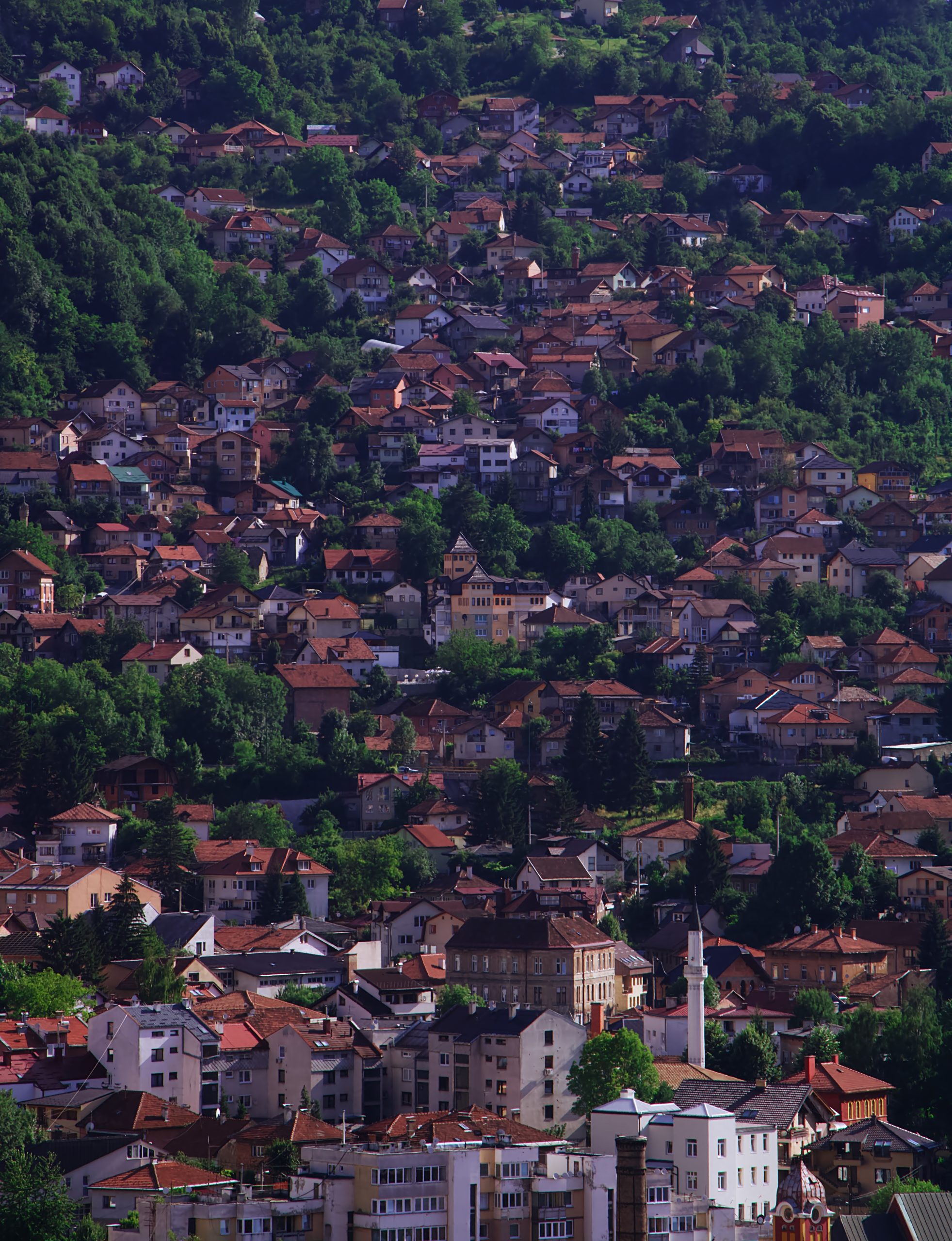 tours for solo travelers